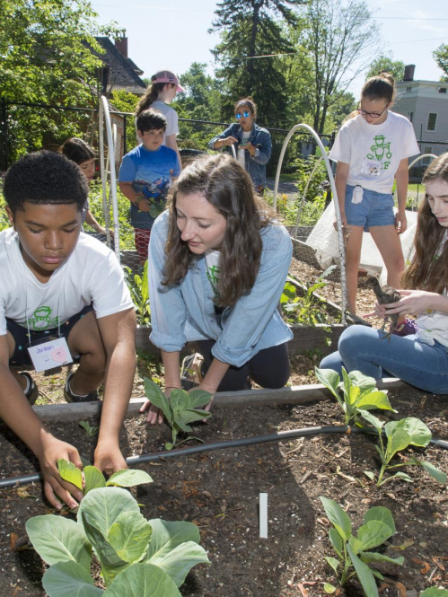 Students work together in community garden.